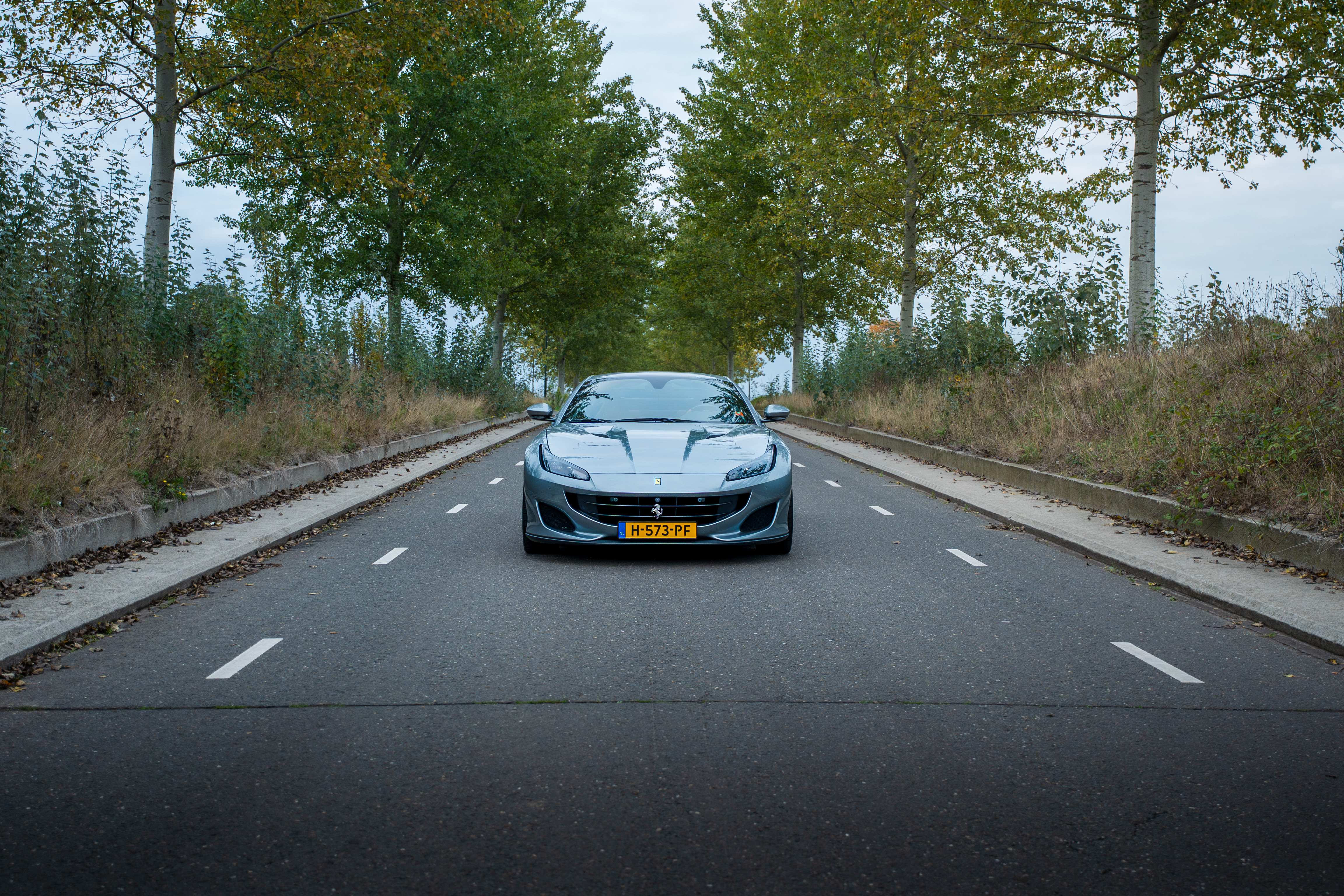 Ferrari Portofino op laan Den Dungen